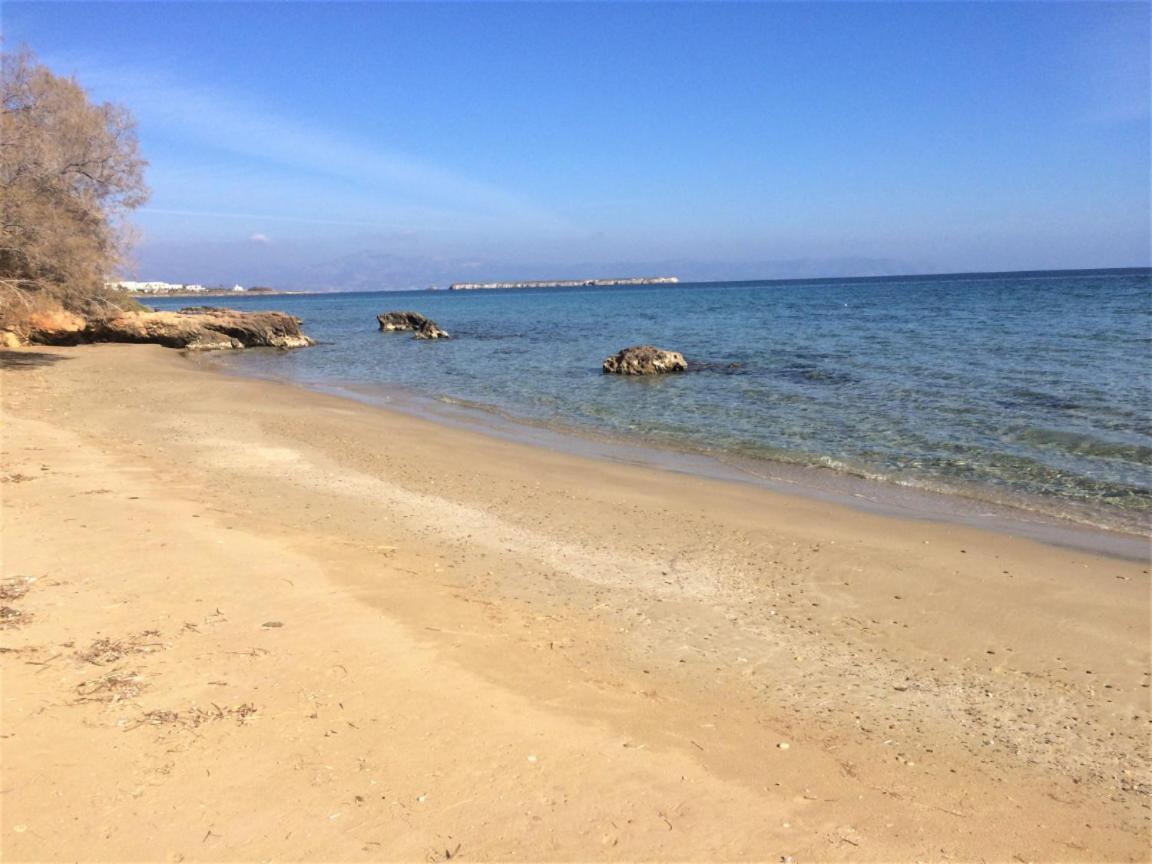 Tonia Apartments Paros كريس أكتي المظهر الخارجي الصورة